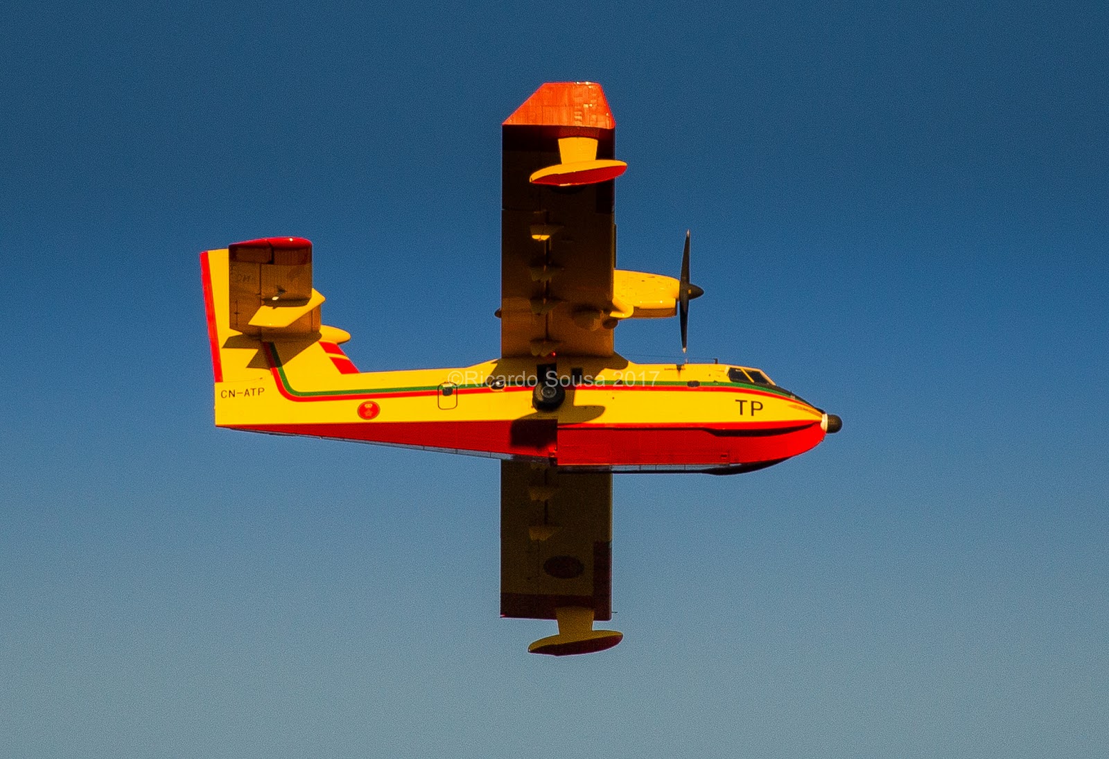 عمروعروق Bombardier Water Bomber