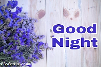 Top 101 Good Night Images || Best Good Night Images Top 101 Good Night Images || Best Good Night Images