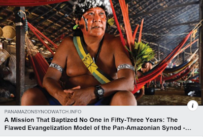 https://panamazonsynodwatch.info/articles/commented-news/a-mission-that-baptized-no-one-in-fifty-three-years-the-flawed-evangelization-model-of-the-pan-amazonian-synod/