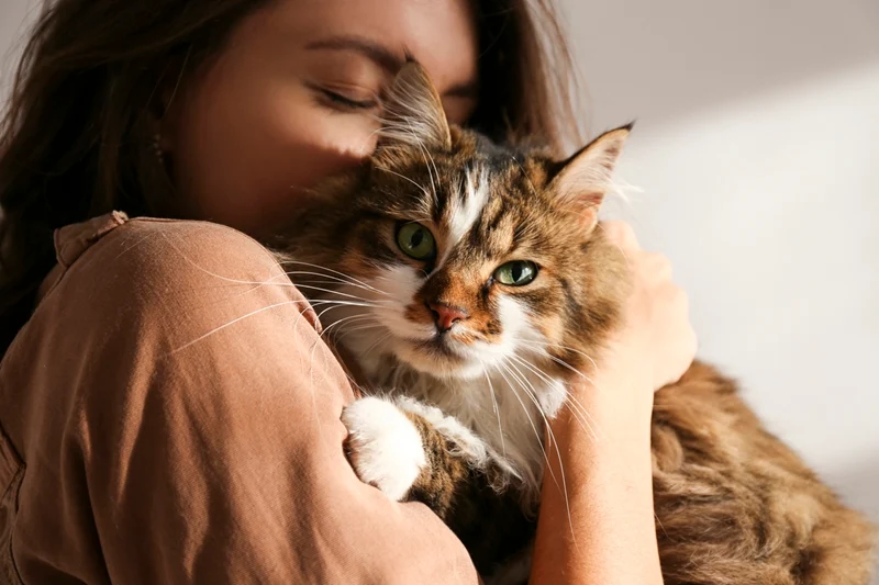 Kedi ve köpeğe alerjisi olanlara alerji aşısı yapılabiliyor