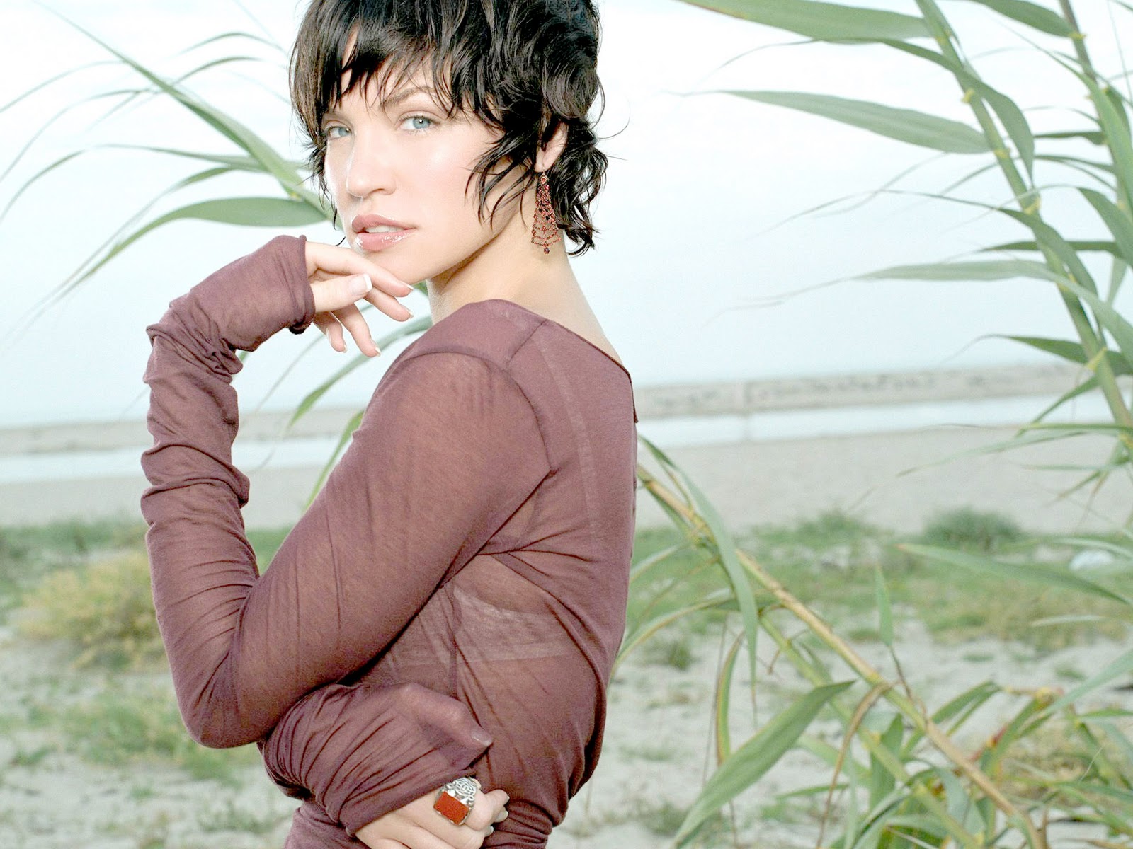 High Definition New Wallpapers: Ashley Scott Wallpapers