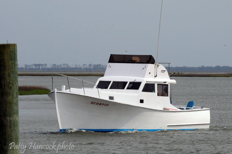 Artists Wachapreague, Virginia Flounder Capital of the World