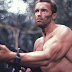 Arnold Schwarzenegger au casting du reboot de The Predator ?