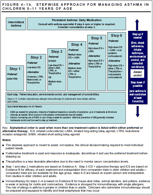 Pediatric Asthma FAQs: Overview of the Disease Process