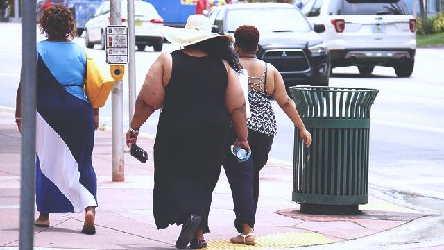 Ahli Biokimia Menemukan Penyebab Utama Obesitas wanita gemuk