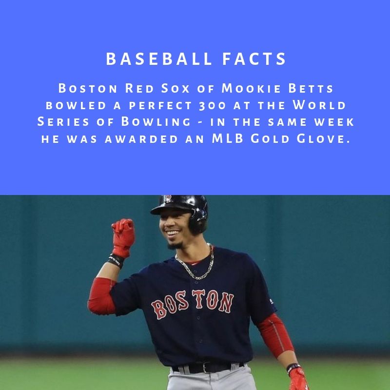 35 Amazing Facts about Baseball Amazing WTF Facts