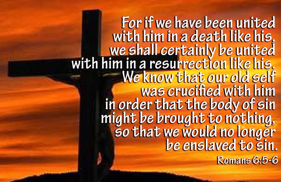 Foundations Of My Faith Dead To Sin Alive To God foundations-of-my-faith-dead-to-sin-alive-to-god