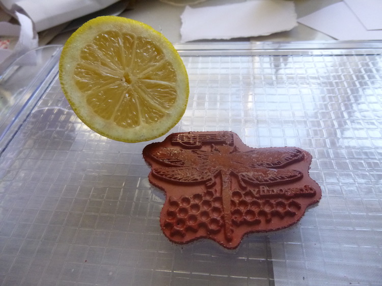 PaperArtsy: 2017 #18 Torn, Ripped, Burnt: Invisible Ink Insects with ...