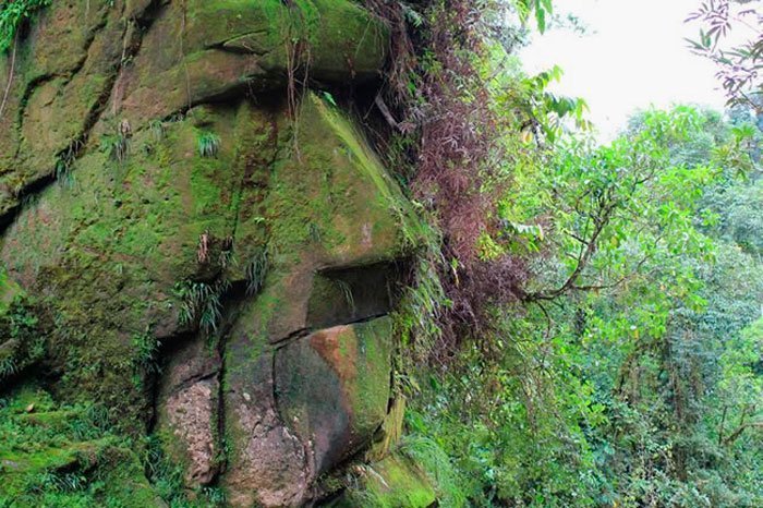 El enigmático rostro humano gigante tallado en una roca de la Amazonía