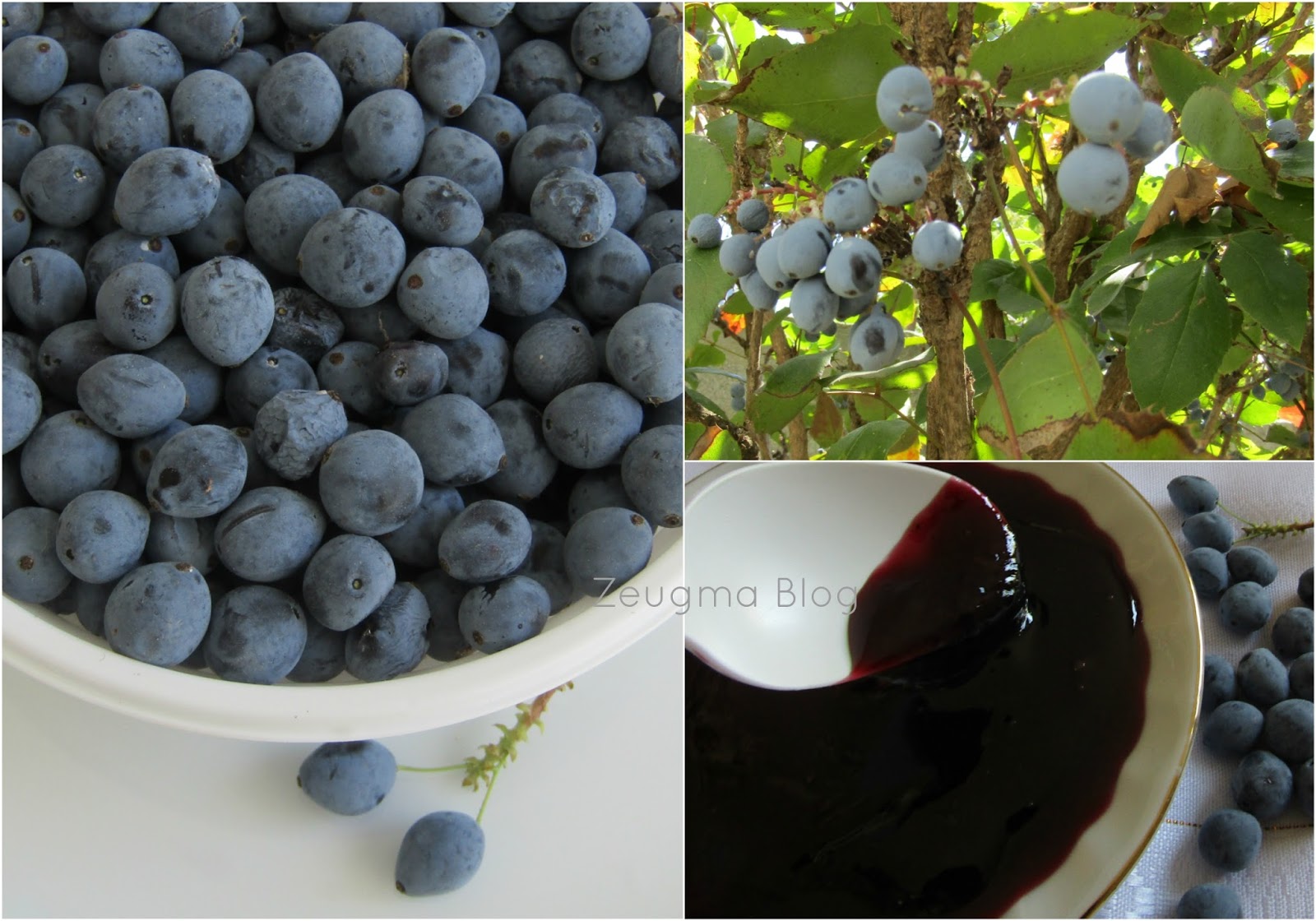 ZEUGMA Oregon Üzümü Reçeli (Oregon Grape Jam)