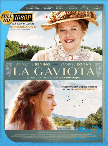 La Gaviota (2018) HD [1080p] Latino Dual [GoogleDrive] ​TeslavoHD