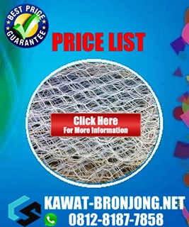 harga kawat bronjong 1  