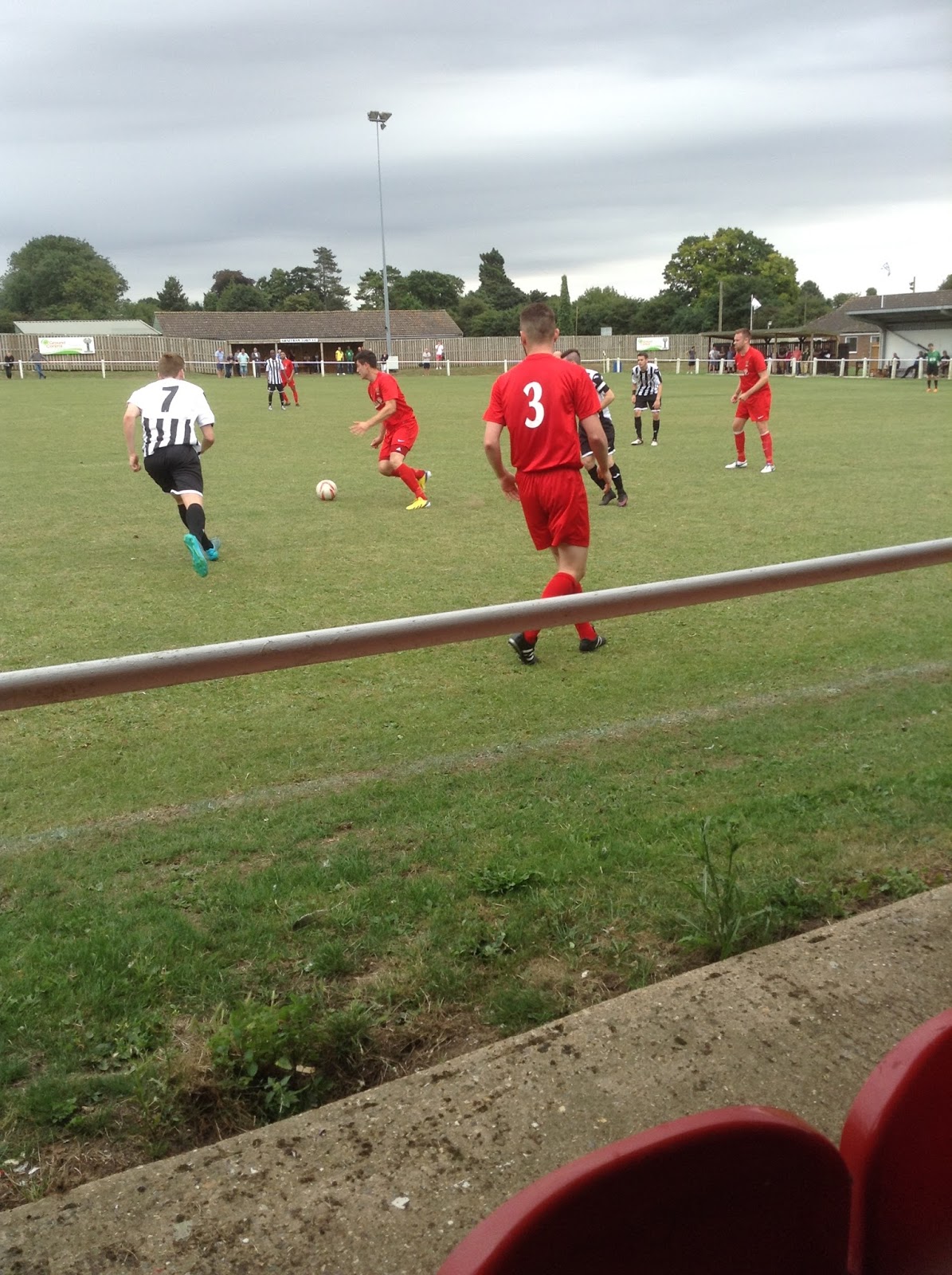 The Tortoise Travels Swaffham Town Shoemakers Lane