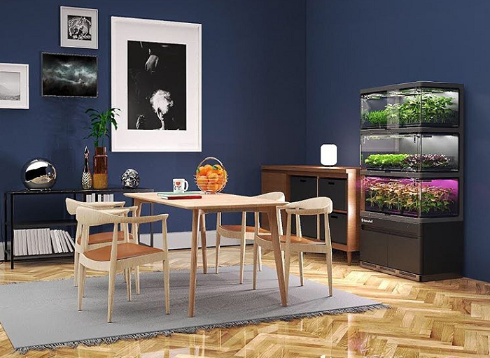 Plant Vegetables House Living Room Farmshelf Hydroponics Indoor Farming