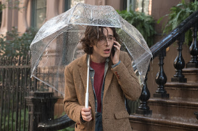 A Rainy Day In New York Timothee Chalamet Image 2