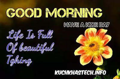 Good Morning Images Good Morning Images