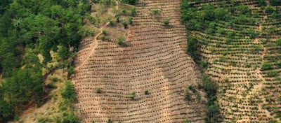 Σήμερα είναι η ημέρα που «ξεπερνιέται η Γη»... Τελείωσαν τα αποθέματα του πλανήτη!