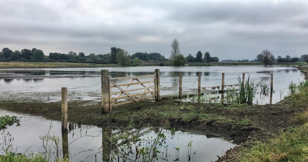 Chris Lansdell S Birding Nature Diary Dickleburgh Moor 14 August 2020