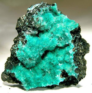 Crystal Habits and Forms. Plumose Aurichalcite. Photo: Rob Lavinsky