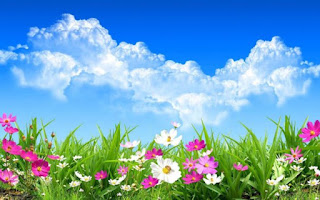 Flowers-Wallpapers-HD-3-623x389