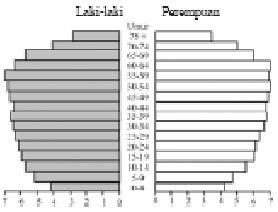 Contoh Soal Penalaran Untuk Materi Piramida Penduduk Indonesia Ips