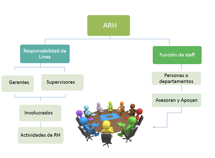 La Arh Como Responsabilidad De Línea Y Función De Staff