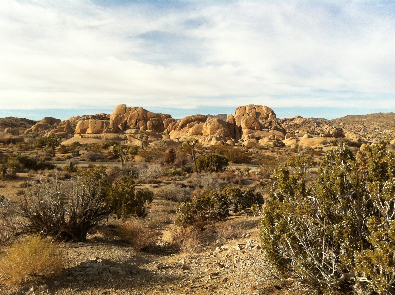 All This Is That At Skull Rock in Joshua Tree National Park