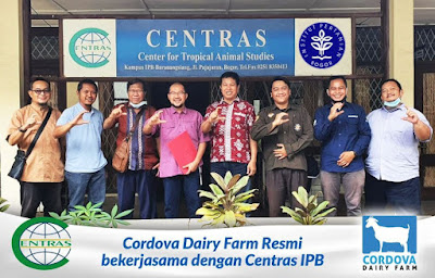 Kavling Kambing Perah Cordova Dairy Farm Granada Land bekerjasama dengan Centras IPB