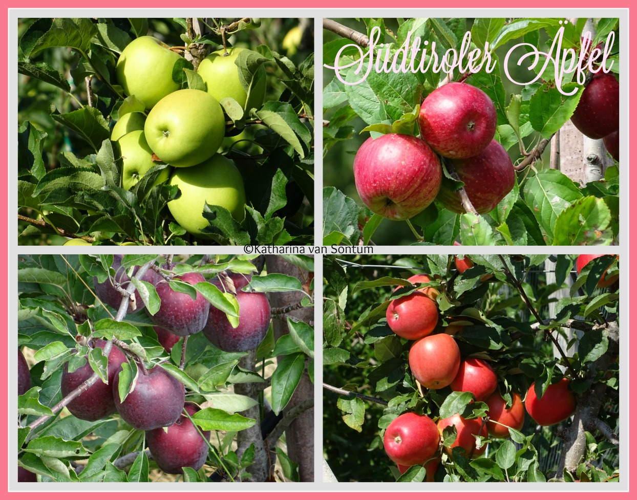 ich hab da mal was ausprobiert: Südtiroler Apfelstrudel ich hab da mal was ausprobiert: Südtiroler Apfelstrudel