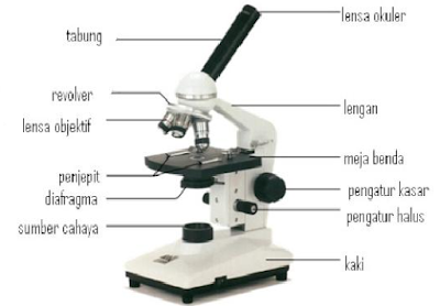 Pengertian Mikroskop 