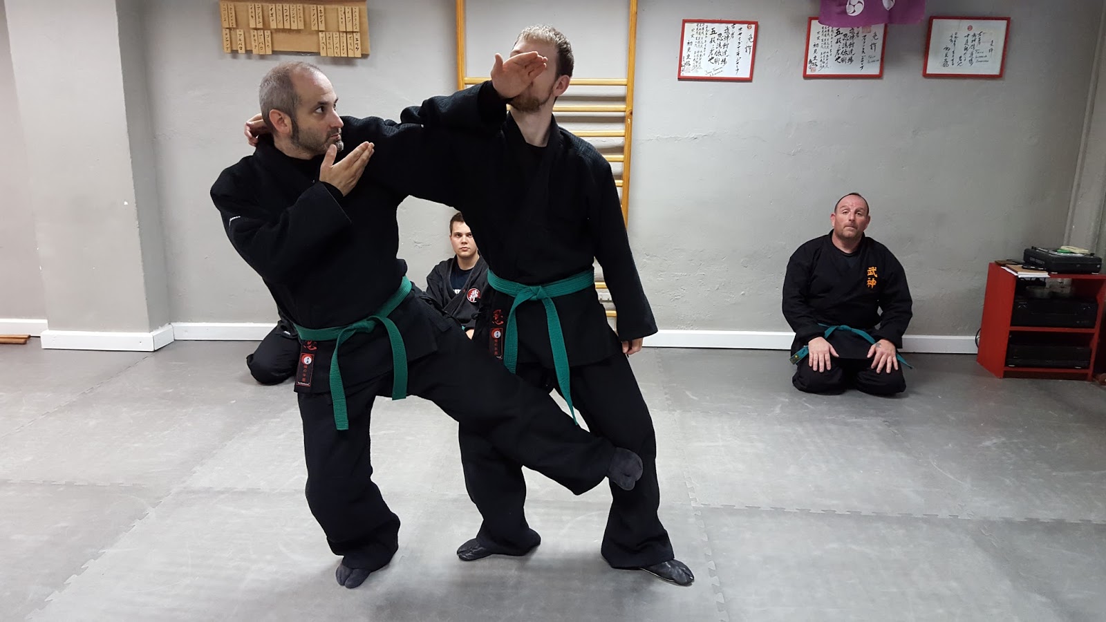 BUJINKAN BILBAO: Shinden Fudo ryu