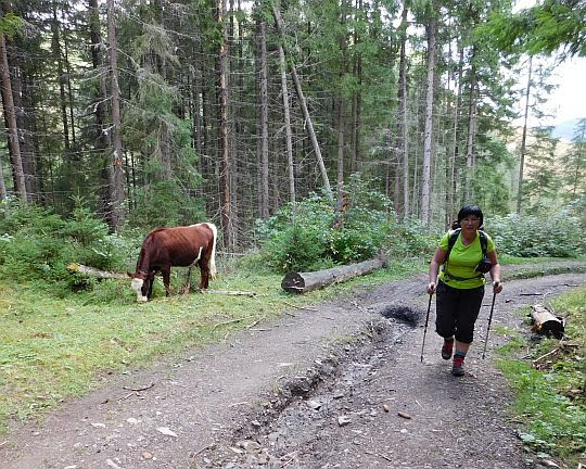 Droga na grzbiet.
