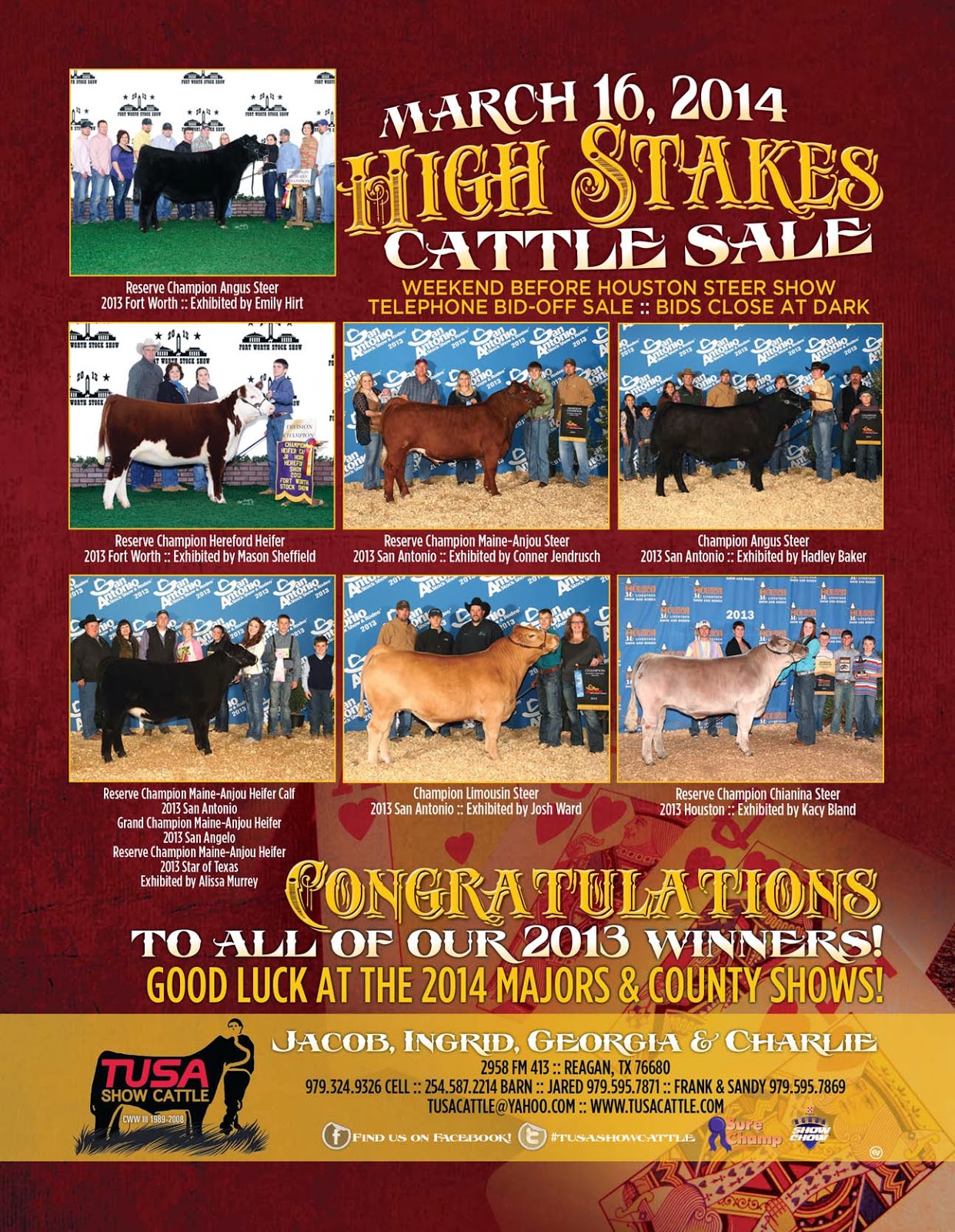 Tusa Show Cattle Blog High Stakes Cattle Sale is Now an Online Sale At