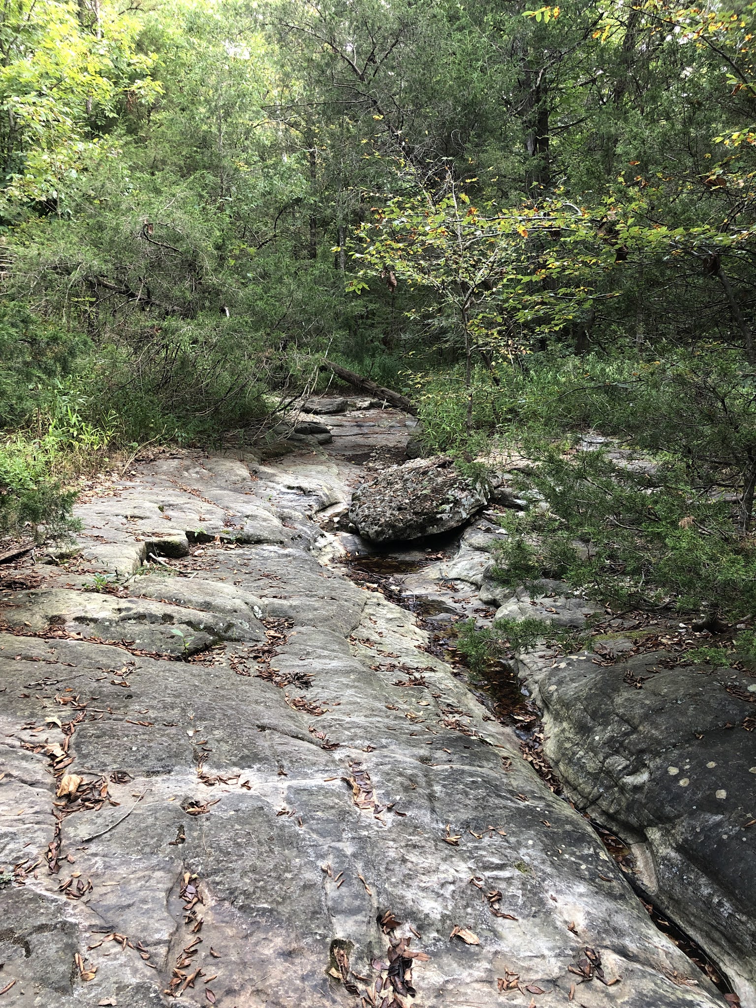Tea Kettle Falls Trail, Huntsville, Arkansas
