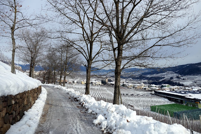 escursioni passeggiate invernali neve val di non