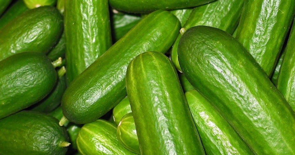 Cucumber Impressive Health Benefits, Popular types, Side Effects
