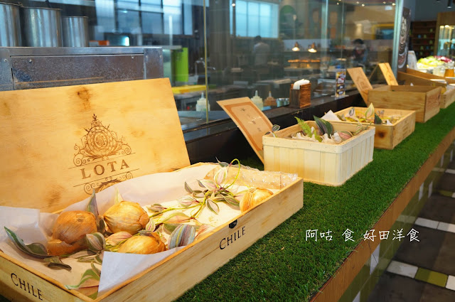 【臺南Ω東區】好田洋食｜已歇業