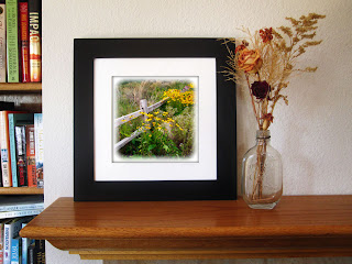 A beautiful bunch of black eyed susan flowers are nestled next to a rustic garden fence.