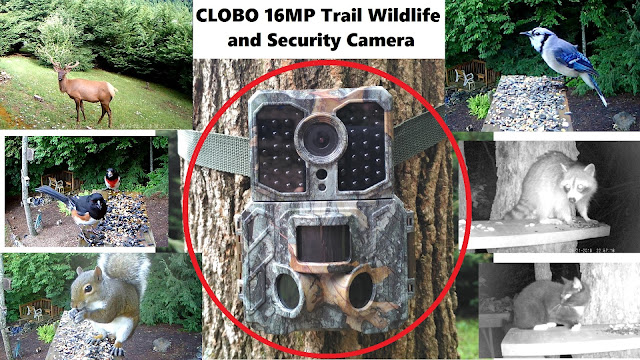 Clobo 16MP Trail  Camera Test - High Quality Low Price Wildlife Security Camera