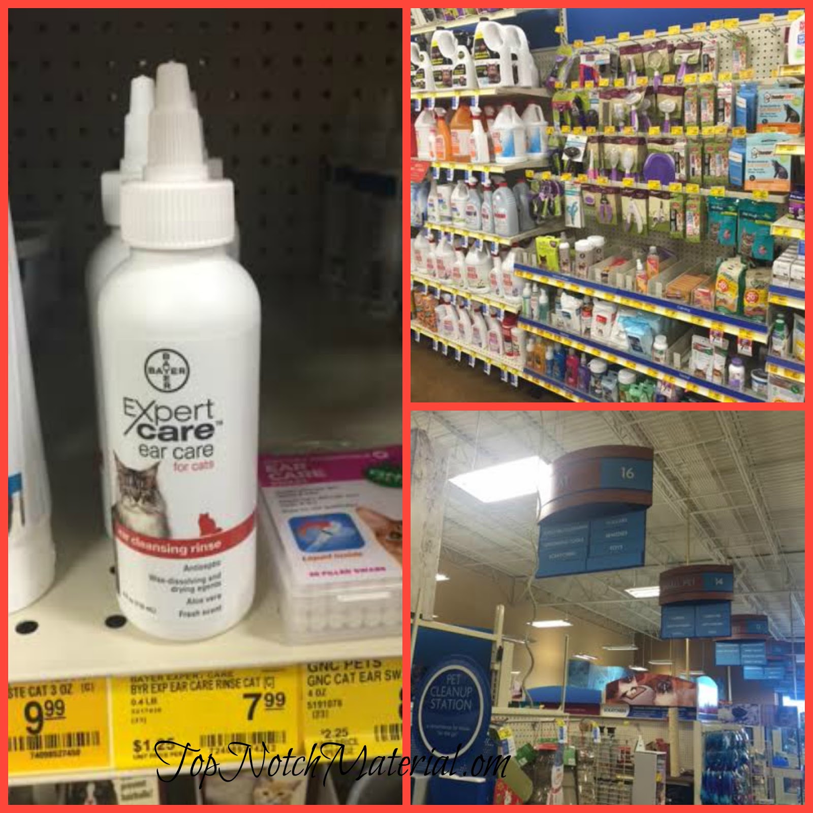 Top Notch Material How Cat Ear Rinse helped my Cats BayerExpertCare