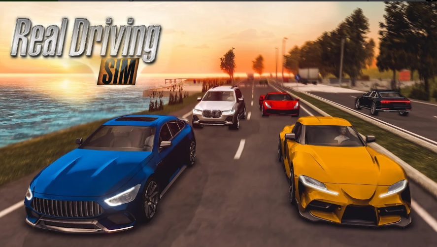 16+ Real Driving Sim 3 8 Mod Apk