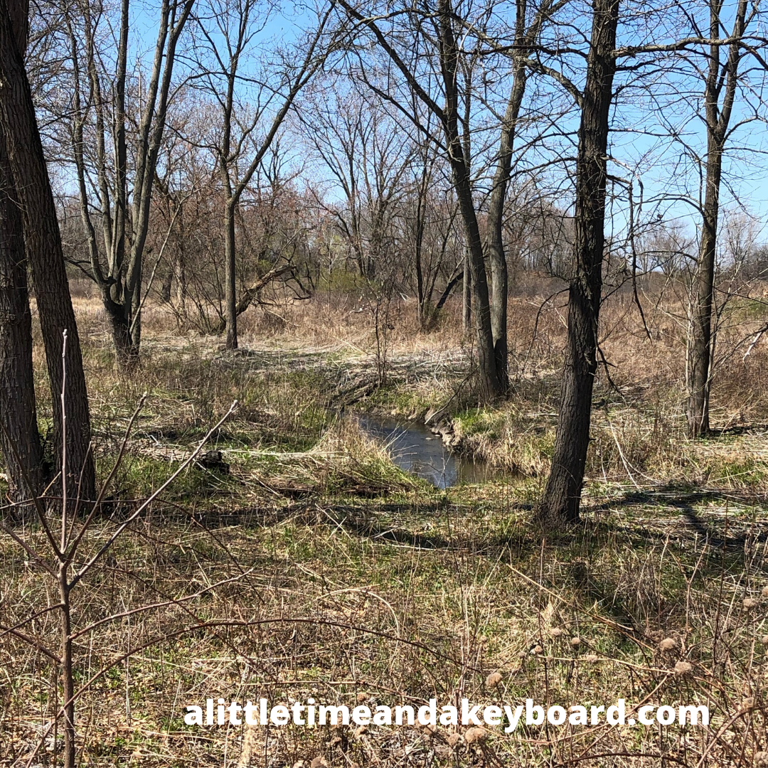 A Little Time and a Keyboard Surrounded by Nature at Heron Creek