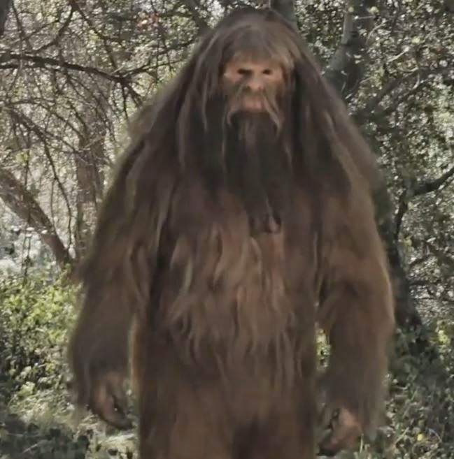bigfoot-evidence-check-out-this-funny-bigfoot-commercial-series