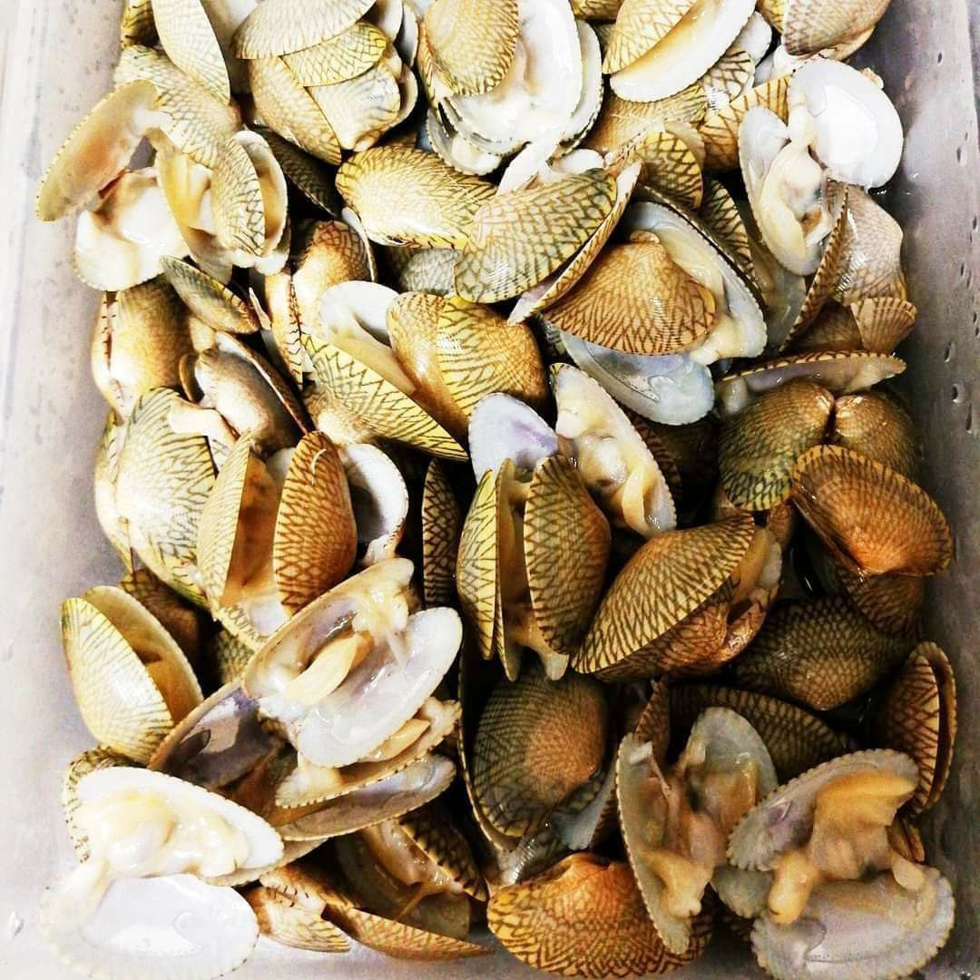 photo6237705863431302751.jpg (1080×1080)