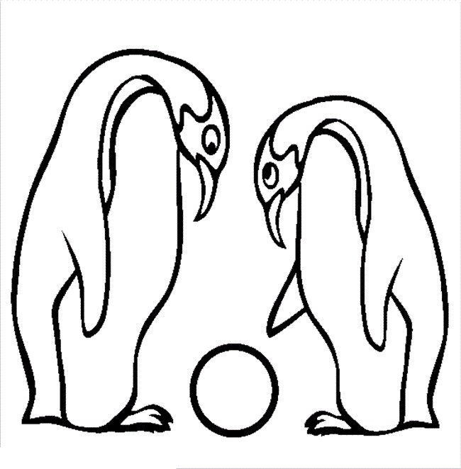 Animal Coloring Pages Images: Penguins Coloring Pages