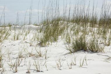 Fort De Soto Park