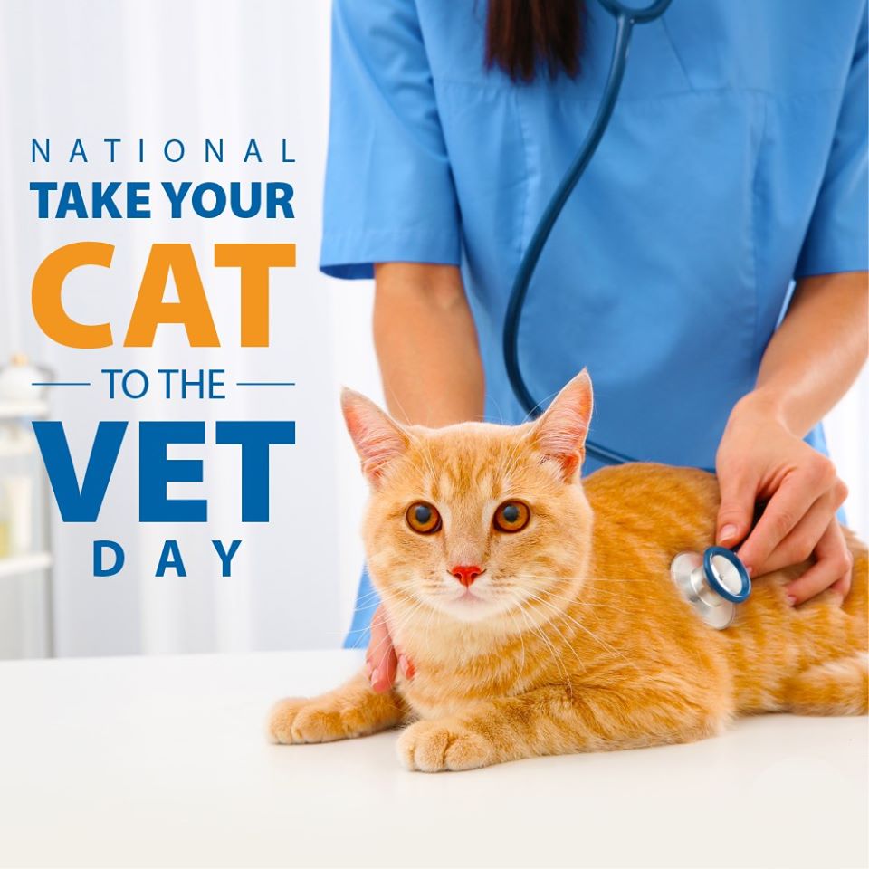 National Take Your Cat to the Vet Day