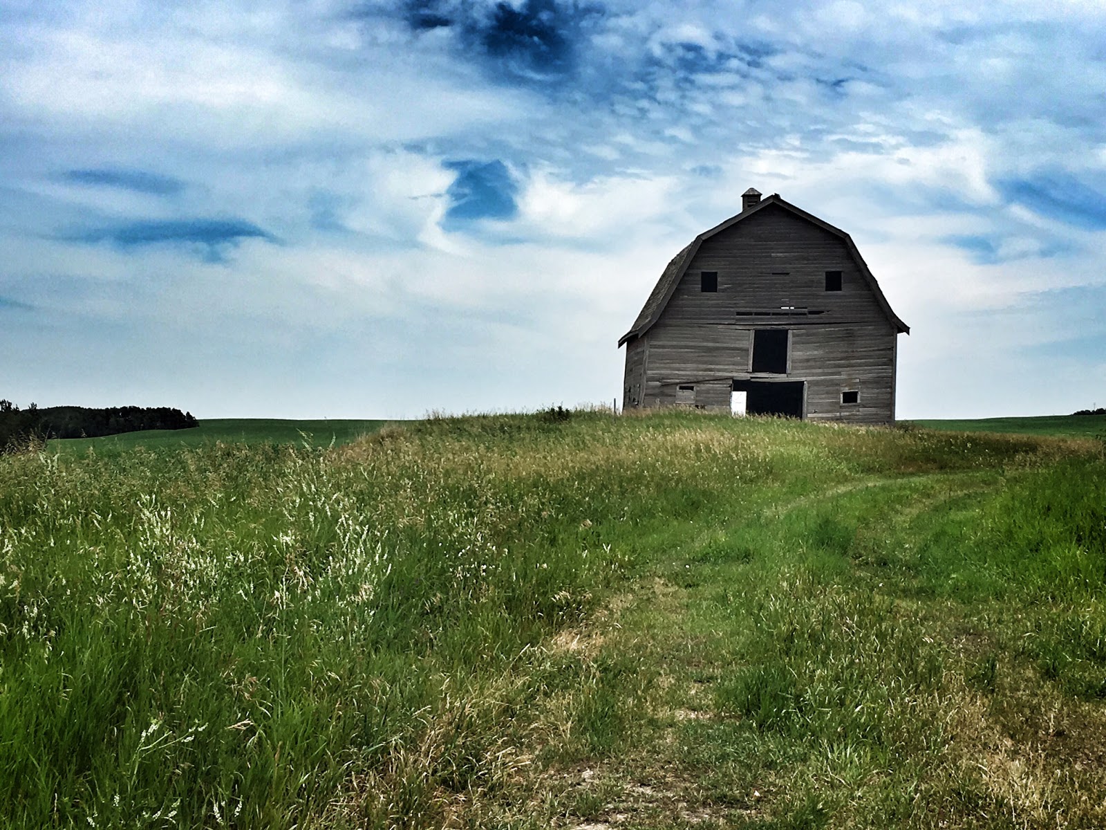 West of the 5th As Seen in Central Alberta Gadsby, Botha and More!