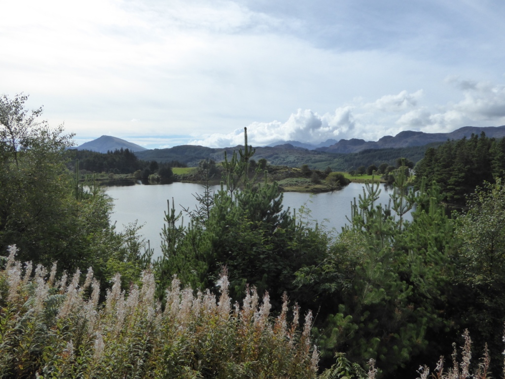 mtb trails snowdonia