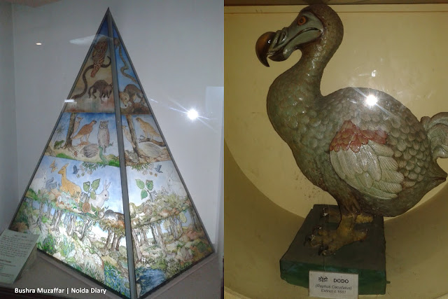 Noida Diary: Exhibits at The National Museum of Natural History